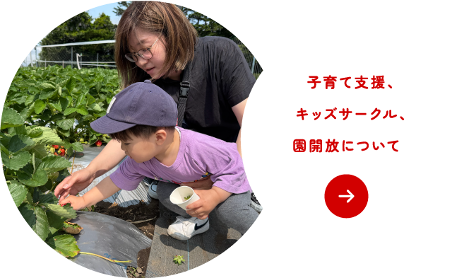 子育て支援、キッズサークル、園開放について