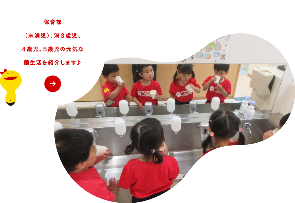 元気な園児たち保育部（未満児）、満3歳児、4歳児、5歳児の園生活を紹介します♪