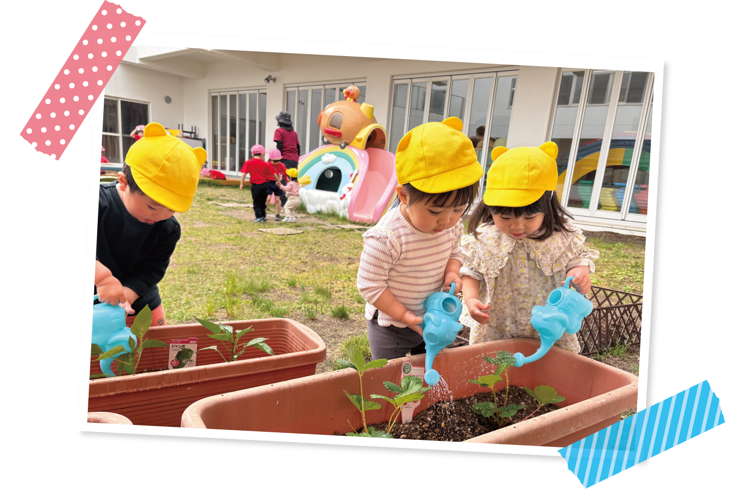 園の様子 保育部未満児