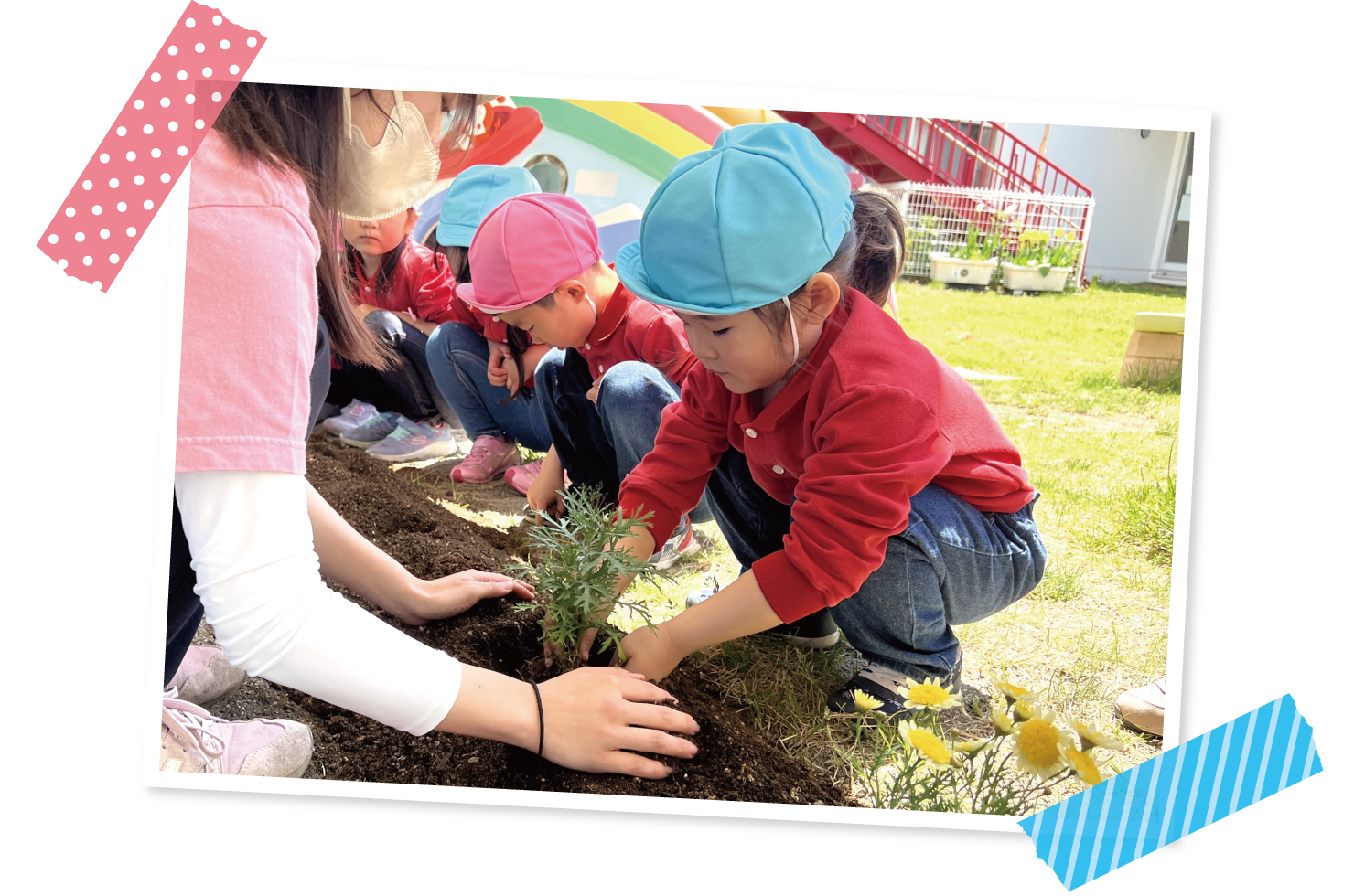 園の様子 4歳児